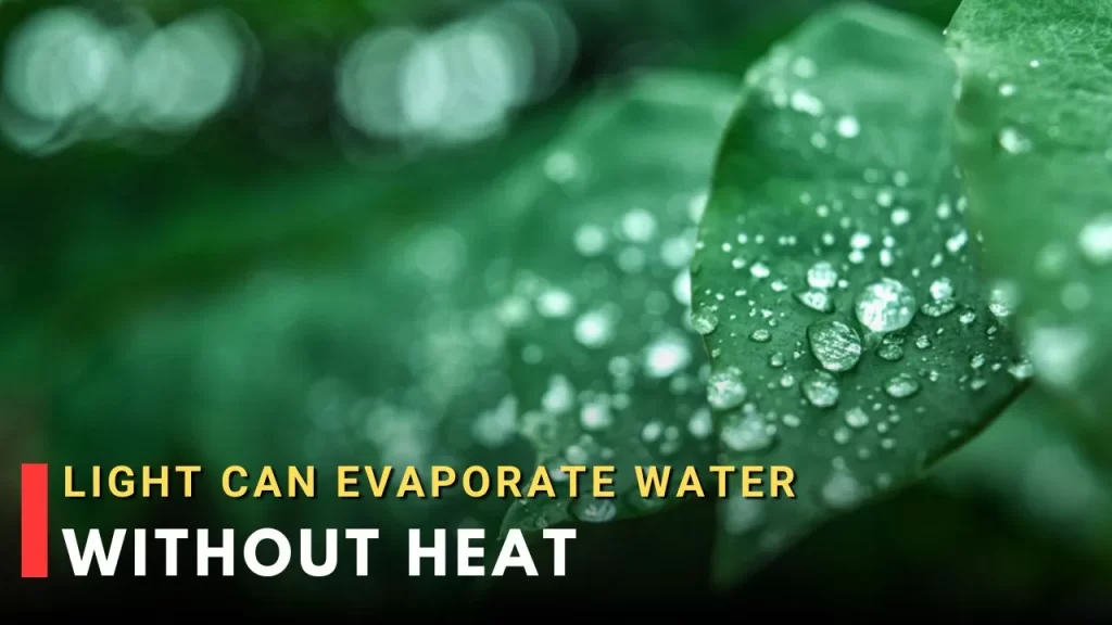Light can evaporate water without heat