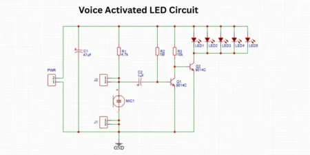 Voice activated circuit
