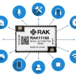 RAK11160 module