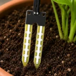 moisture sensor